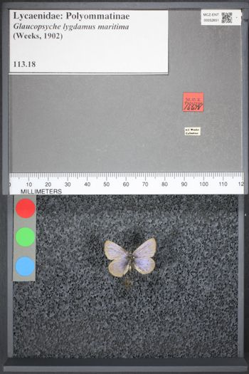 Media type: image;   Entomology 52651
